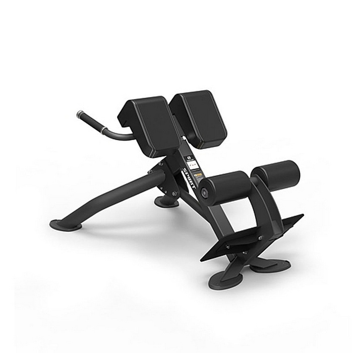 Гиперэкстензия под углом 45 градусов Spirit Fitness SP-4220 700_700