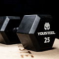 Гантель обрезиненная YouSteel HEX DB 10 кг 120_120